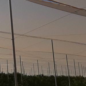 Mallas Mosquiteras / Cortavientos